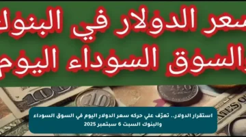 استقرار الدولار.. تعرّف على حركة سعر الدولار اليوم في السوق السوداء والبنوك السبت 6 سبتمبر 2025